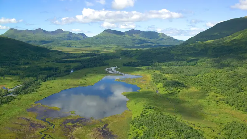 Illustrative photo: a fork of the Dog Salmon River winding through green mountains