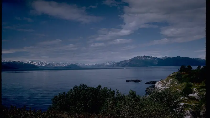 Illustrative photo: Calm water and a forested shore below snowy mountains in Glacier Bay