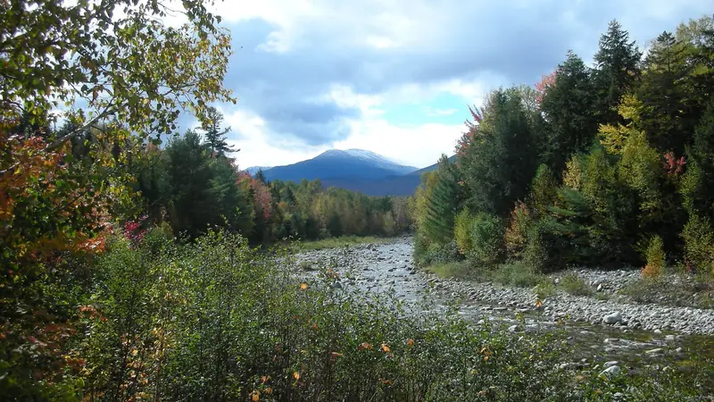 Illustrative photo: Fall foliage along a river with Mt. Washington behind