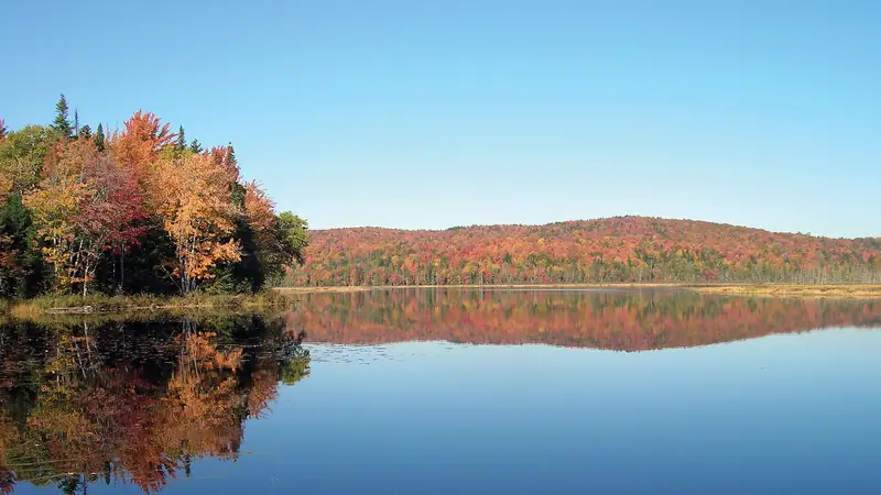 Illustrative photo: Fall color reflected in still water at Umbagog refuge