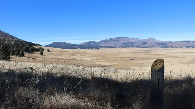 Illustrative photo: a wide montane grassland with forested hills beyond
