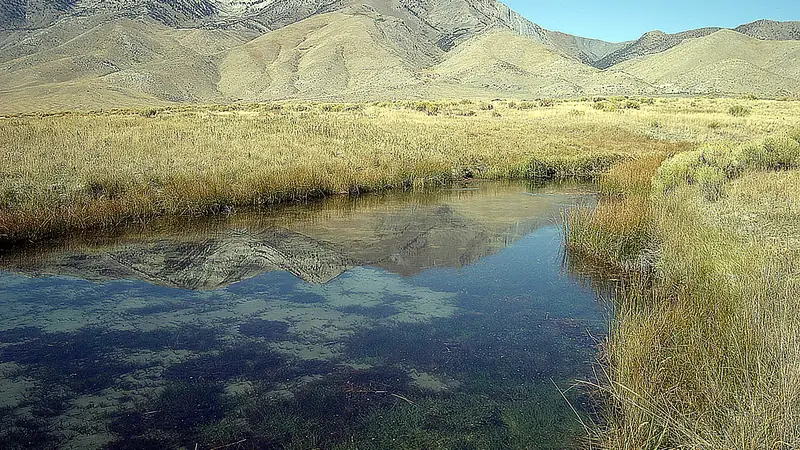 Illustrative photo: a spring-fed pool in grassland at the base of the Ruby Mountains