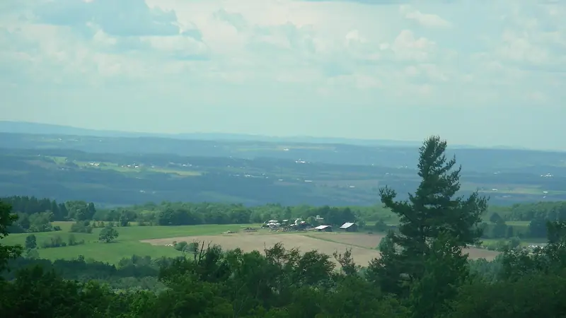 Illustrative photo: Farmland and woods stretching to the horizon below a pine on a hilltop in the Finger Lakes National Forest