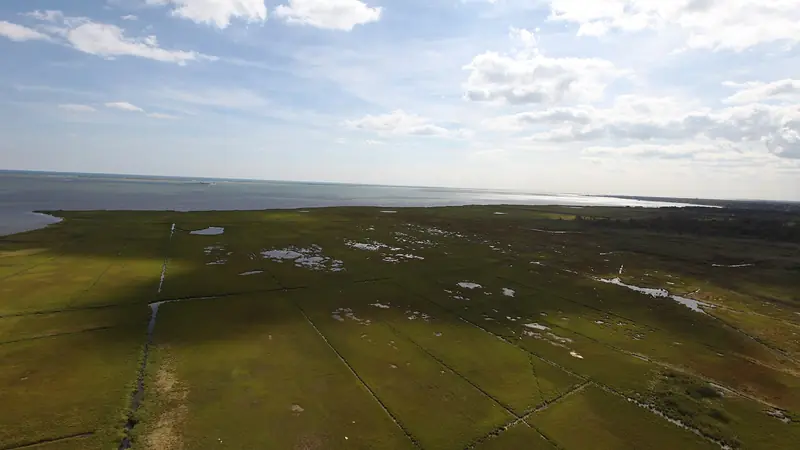 Illustrative photo: Aerial view of open marsh under scattered clouds at Wertheim National Wildlife Refuge