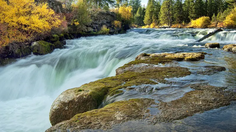 Illustrative photo: the Deschutes River pouring over a ledge at Dillon Falls, with pines and fall color