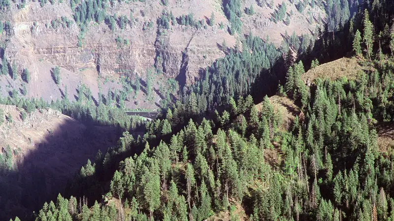 Illustrative photo: Steep forested slopes in the Grande Ronde River canyon