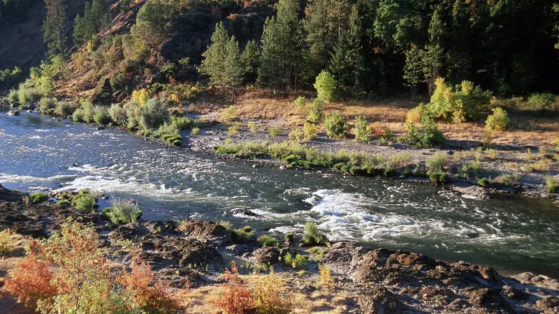 Illustrative photo: the Rogue River running over rocks between pines and autumn brush