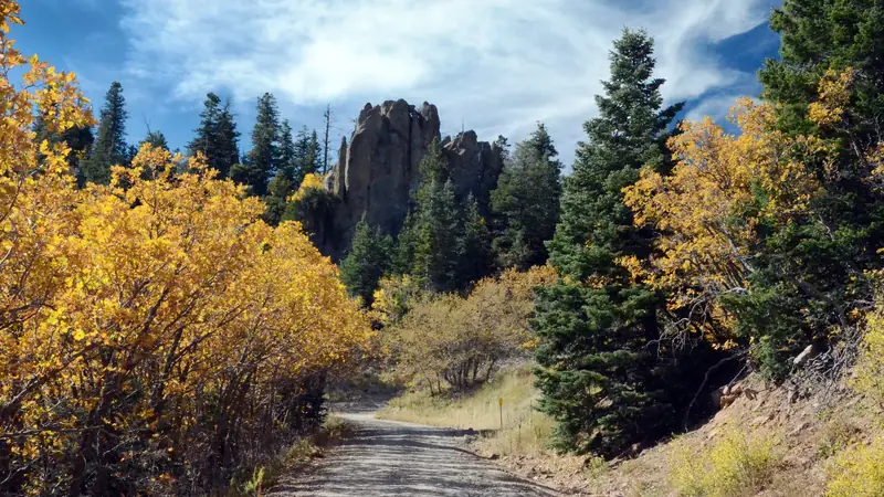 Illustrative photo: a dirt road through yellow autumn aspen and evergreens toward a rock spire in the Kaibab National Forest, Arizona