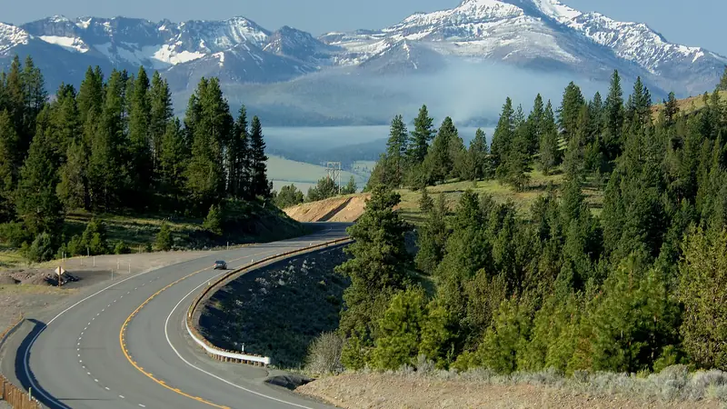 Snow-capped Strawberry Mountains above pine forest on the Malheur National Forest, Oregon